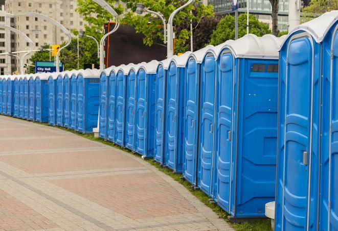 a fleet of portable restrooms ready for use at a large outdoor wedding or celebration in Easthampton MA